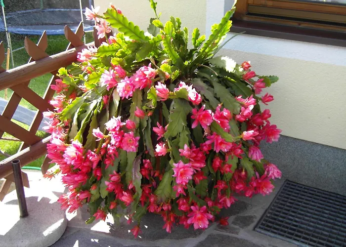 Haus Gruenbergblick * 迈尔霍芬